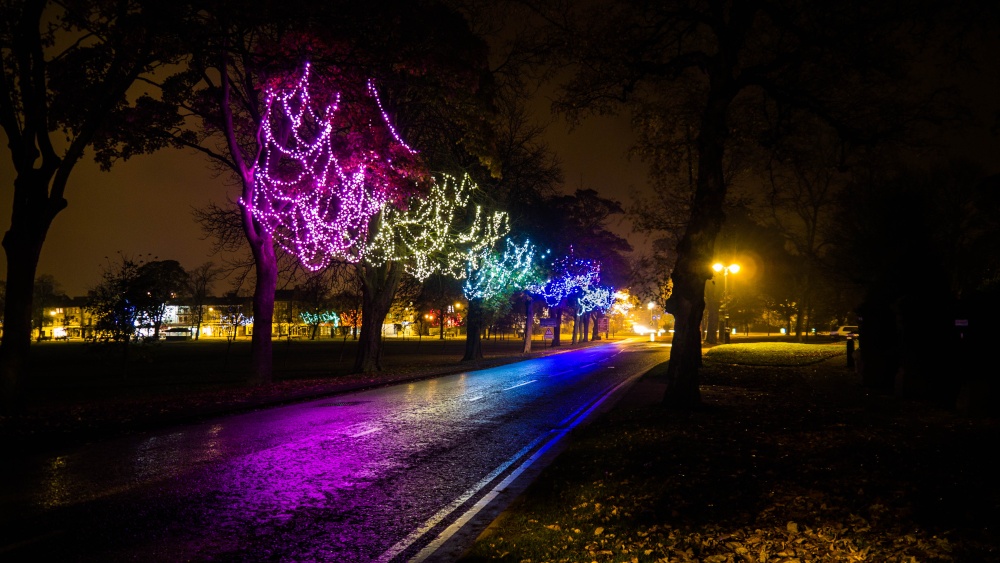 Photograph of Harrogate Christmas Lights!