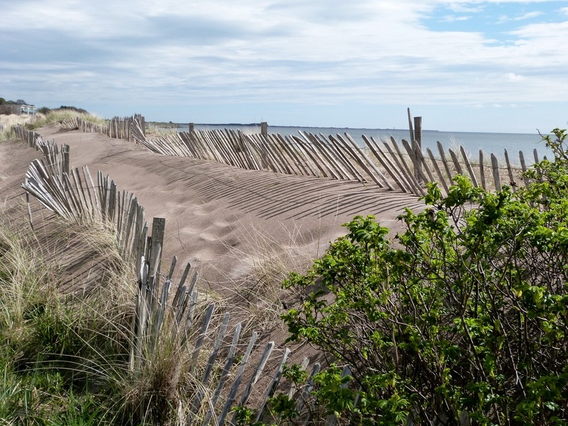 Photograph of Broughty Ferry