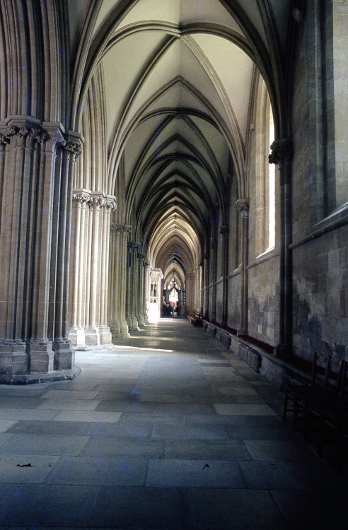 Wells cathedral.