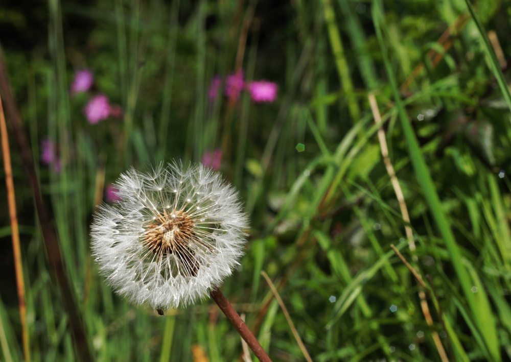 Photograph of Bedworth