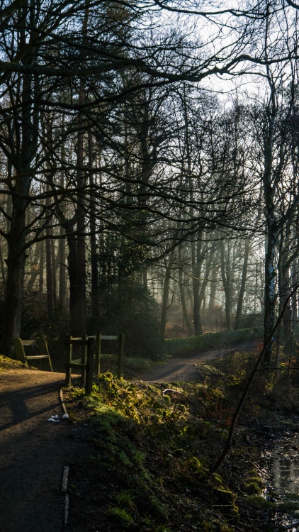 Footpath around the reservoir