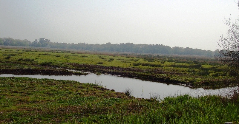 The Broads at Horsey