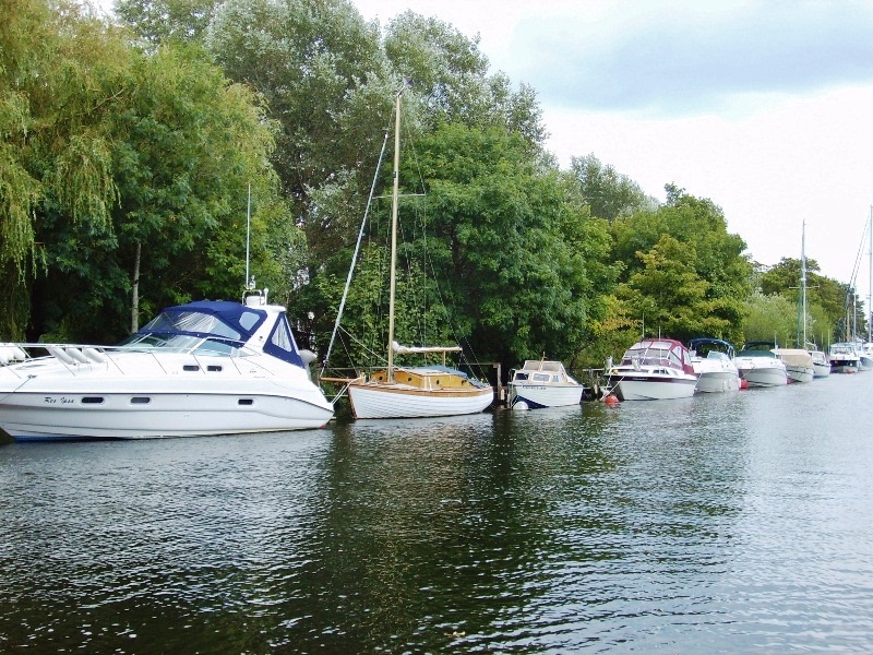 River Avon, Christchurch