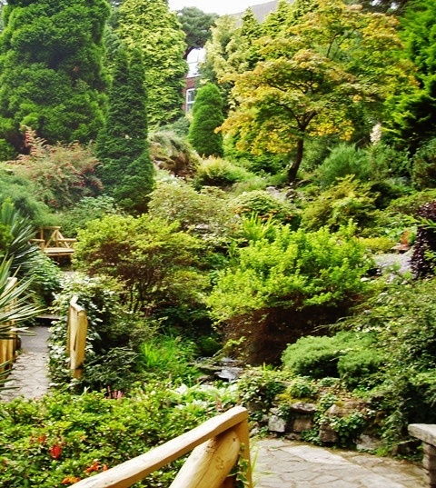 Wooded Valley, Compton Acres