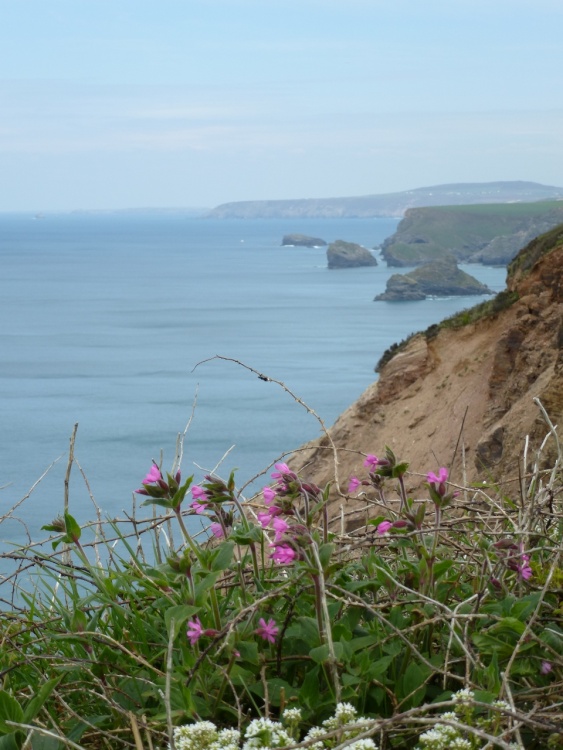 North Cornish Coast