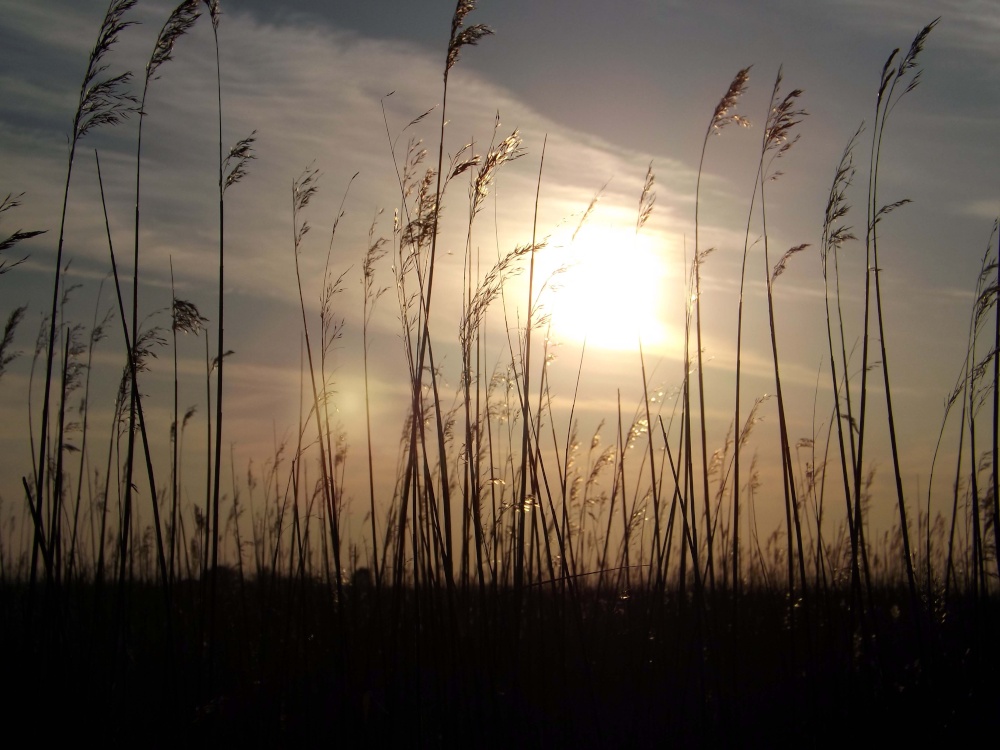 Photograph of Burgh Castle, Norfolk
