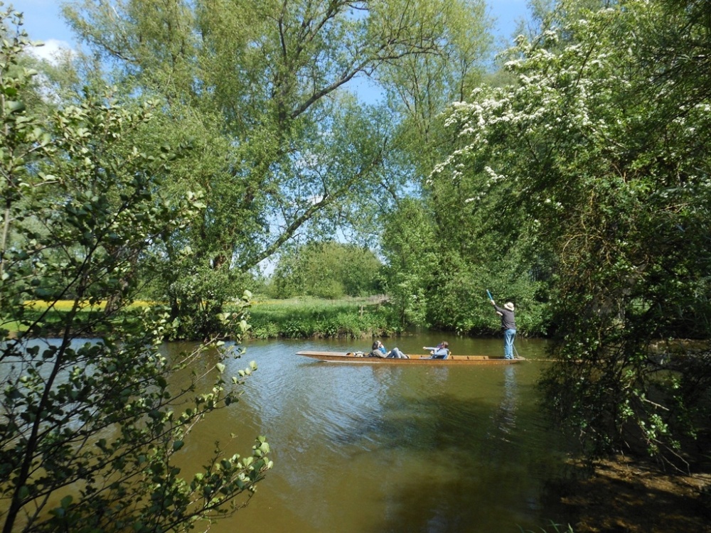 Punting on the River Cherwell, Oxford