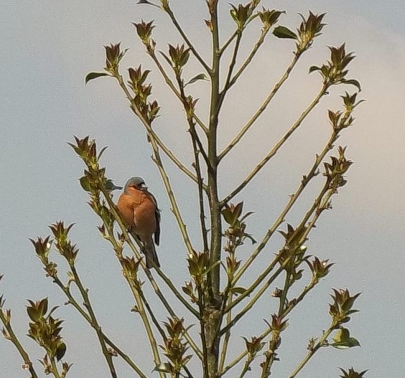 St Helens, Lancashire