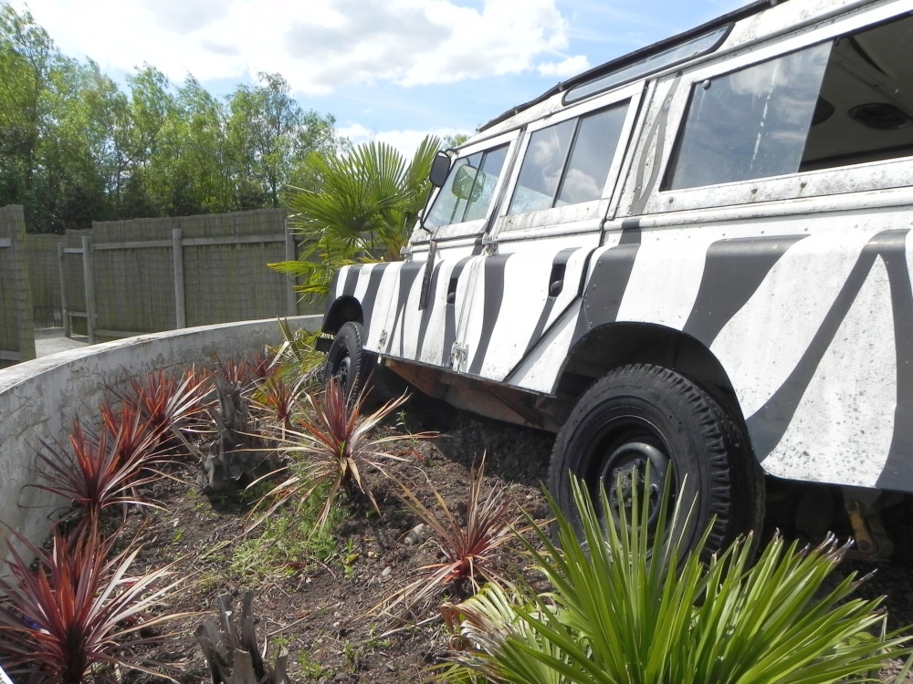 Maze World at Dobbies Garden World