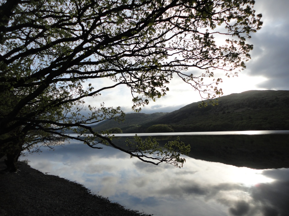 Photograph of Coniston Water in the early morning light.