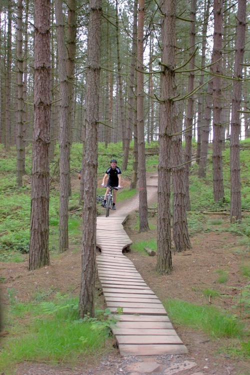 Cannock Chase bike trail