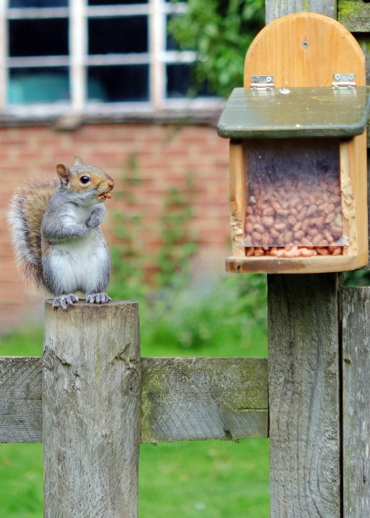 Caught in the act, East Farleigh