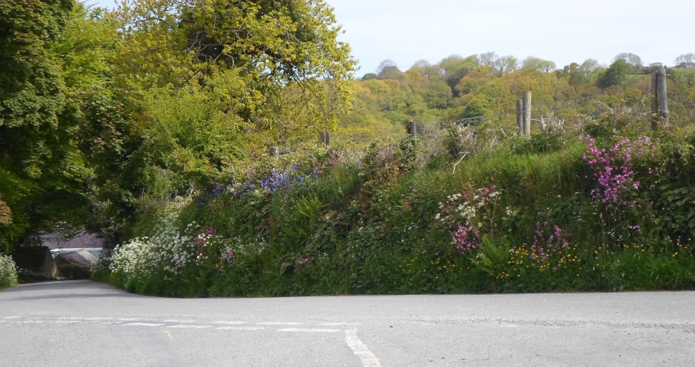 Photograph of Gwaun Valley near Fishguard, Pembrokeshire