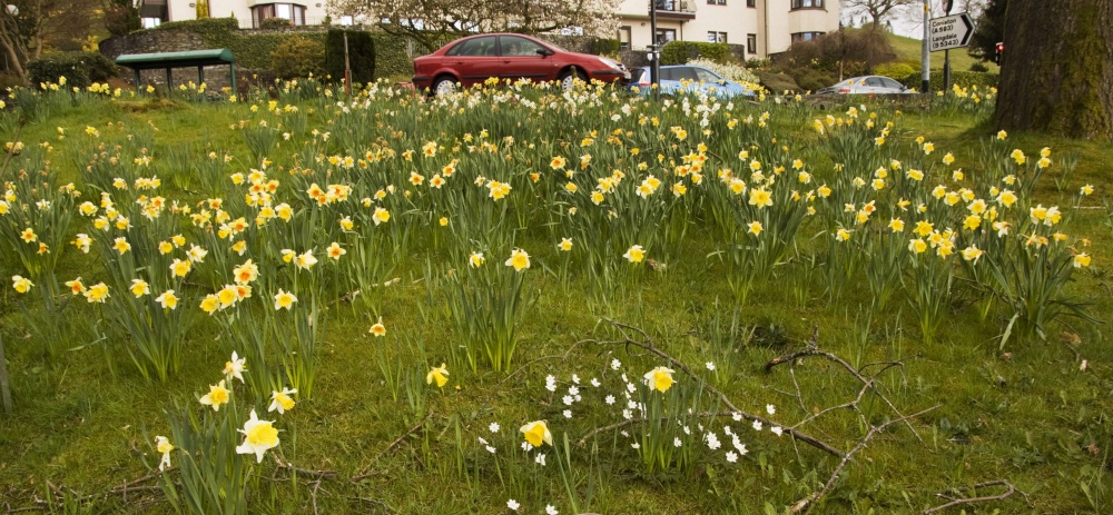 Waterhead Ambleside 3