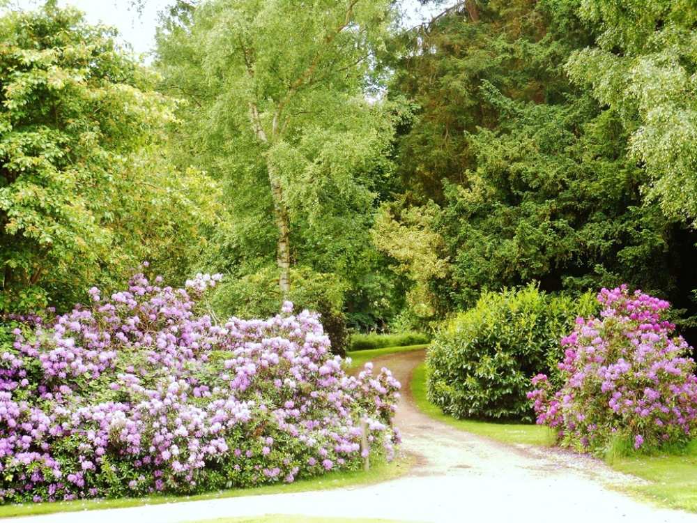 Stoneleigh Abbey Gardens