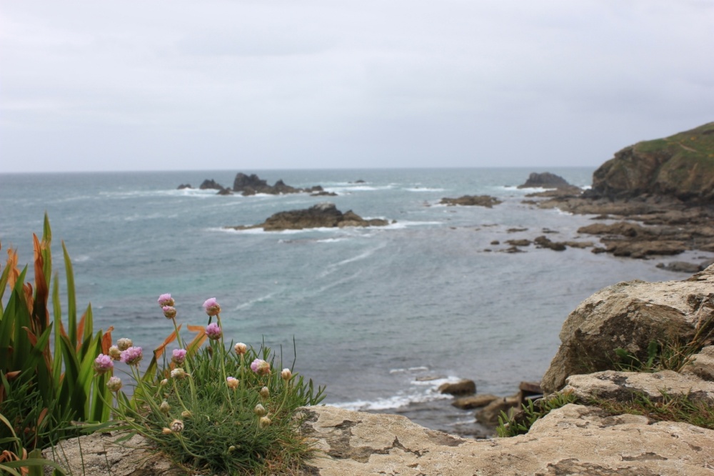 Photograph of The thrift and the rocks
