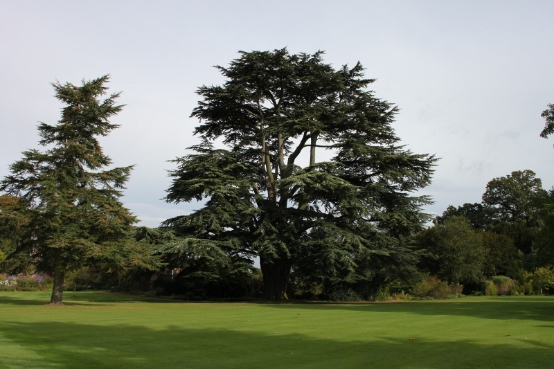 Gunby Hall (Garden) photo by Harry Cook