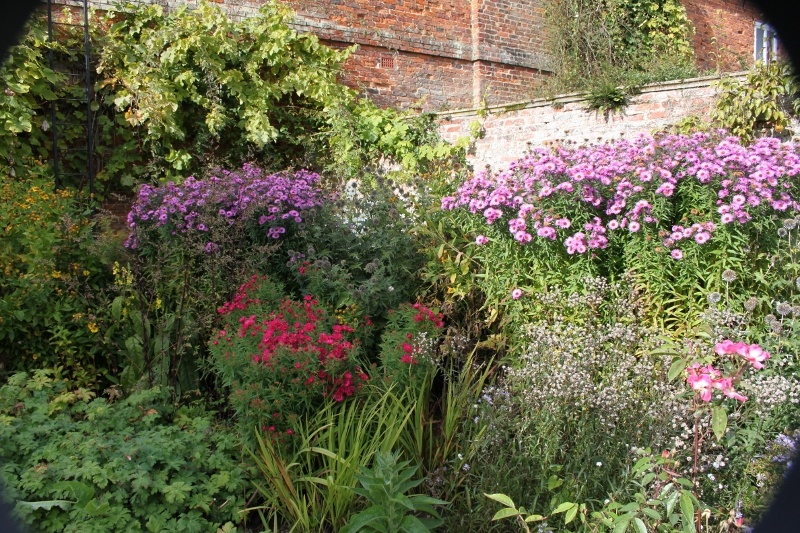 Gunby Hall (Flower bed) photo by Harry Cook