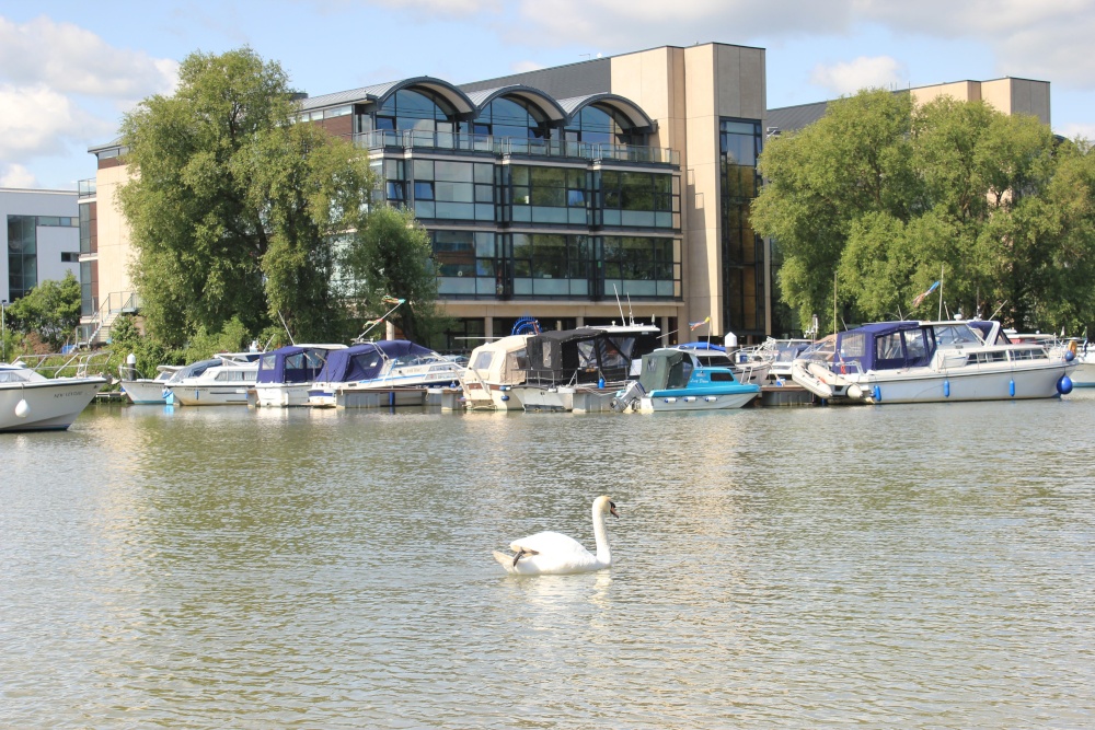 Brayford Marina and Lincoln University