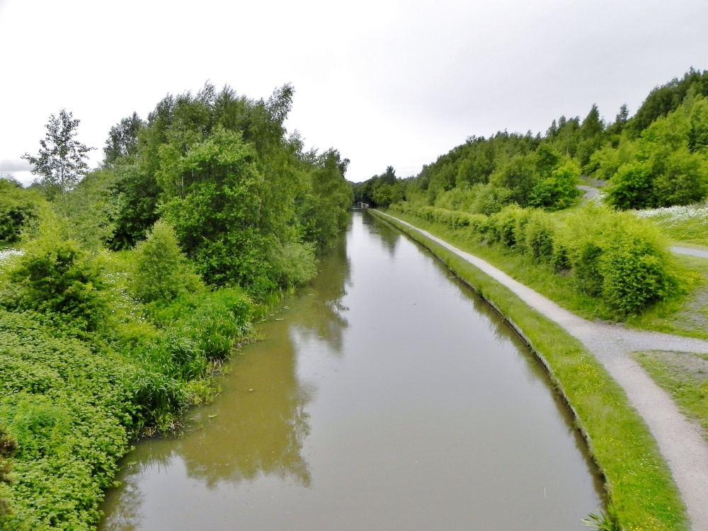 Coventry Canal photo by MikeT