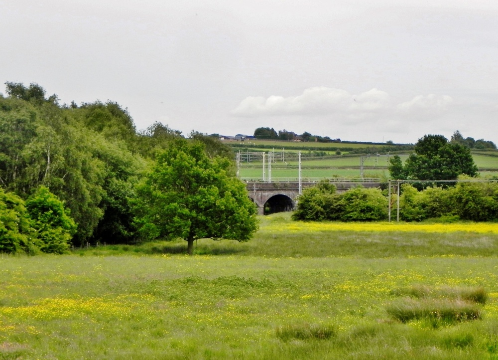 View from Canal towpath