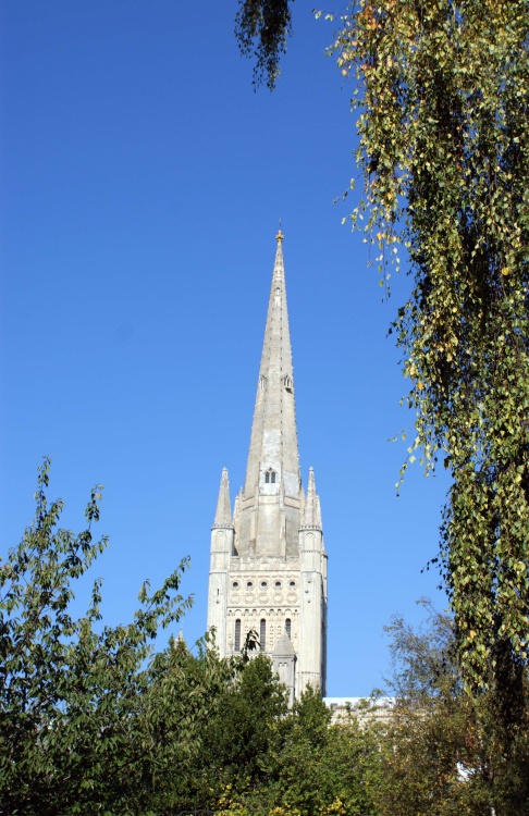 Norwich Cathedral