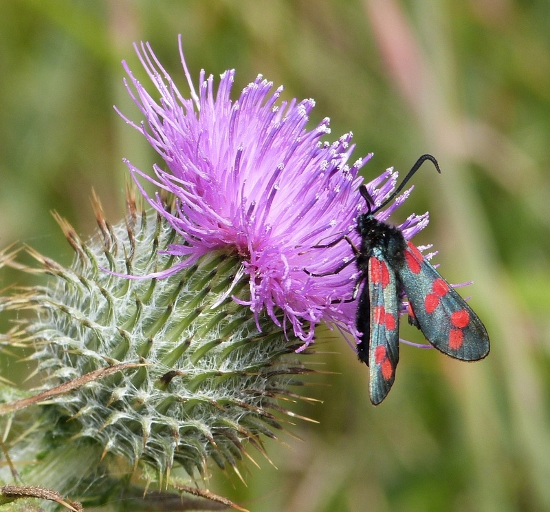 Photograph of Perranporth