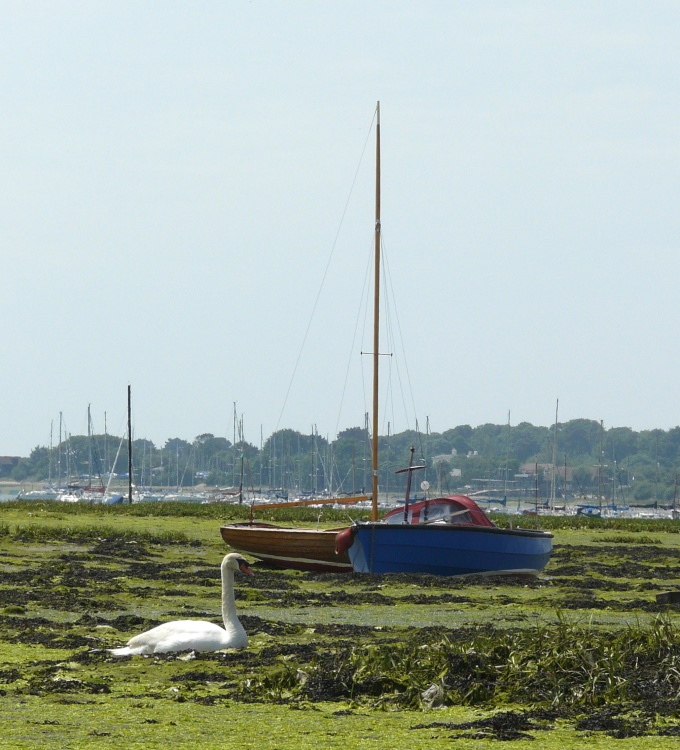 Photo of Bosham Harbour