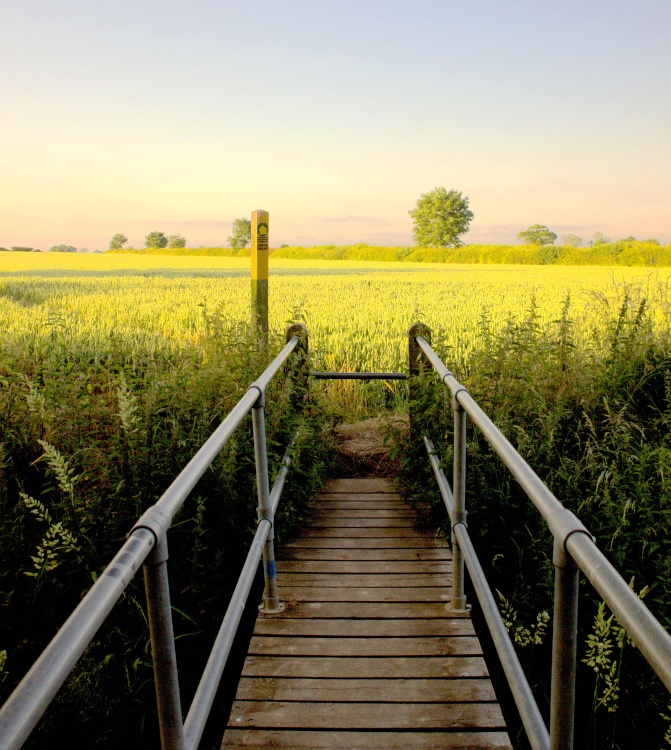 Fields of Atherstone Lanes