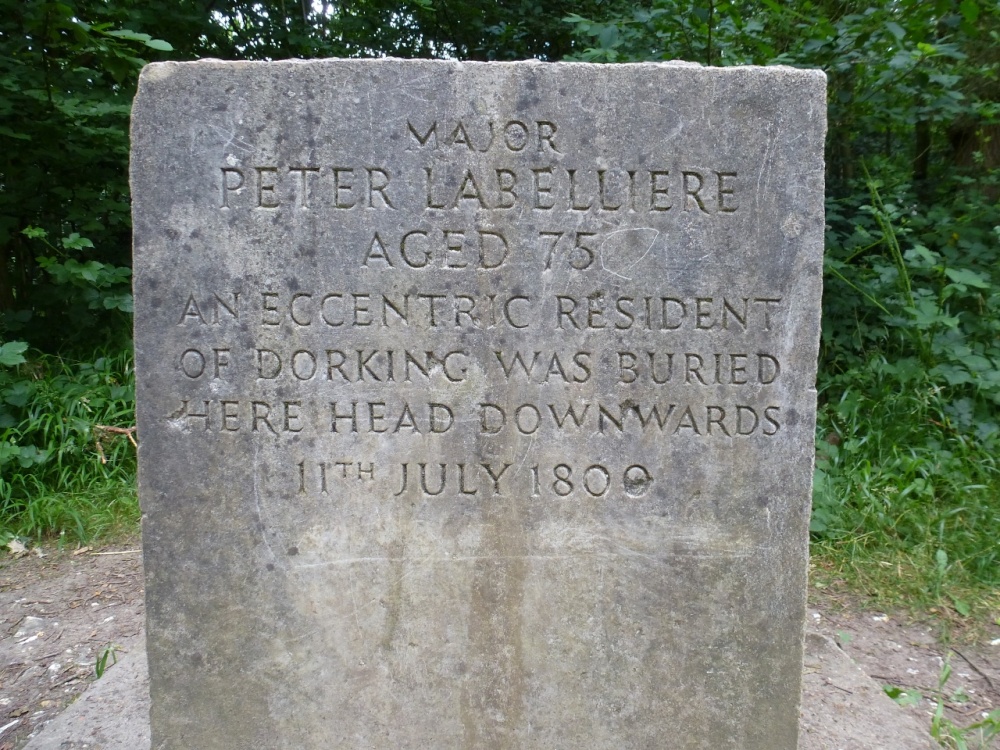 It's a 'Topsy Turvey' world photo by Vince Hawthorn