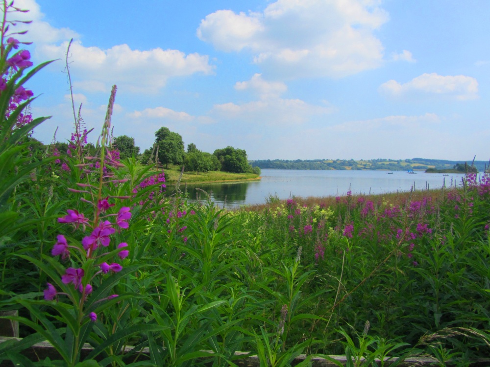 Carsington Water photo by Nicoline