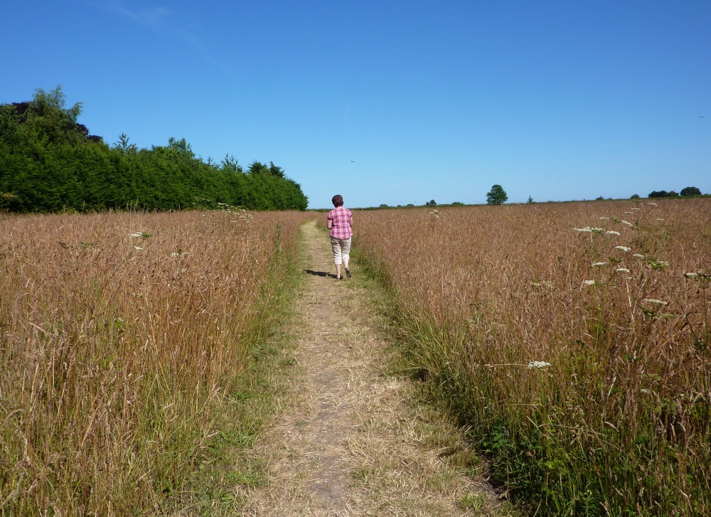 Photograph of A long walk back