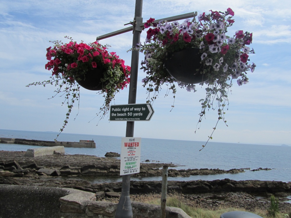 Photograph of Hanging Baskets