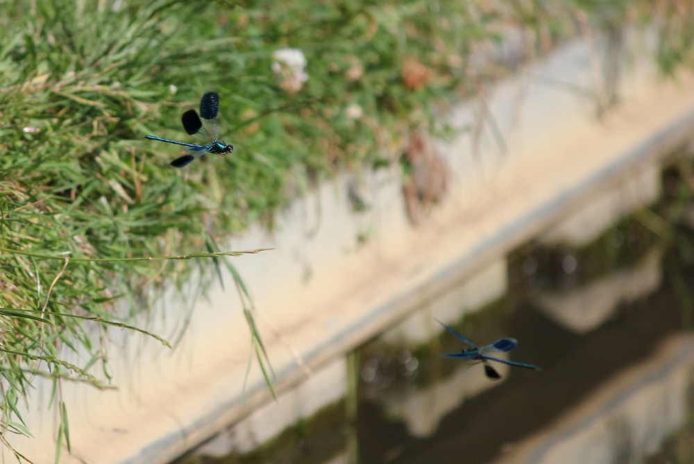 Blue leader to fuzzy flight No 2