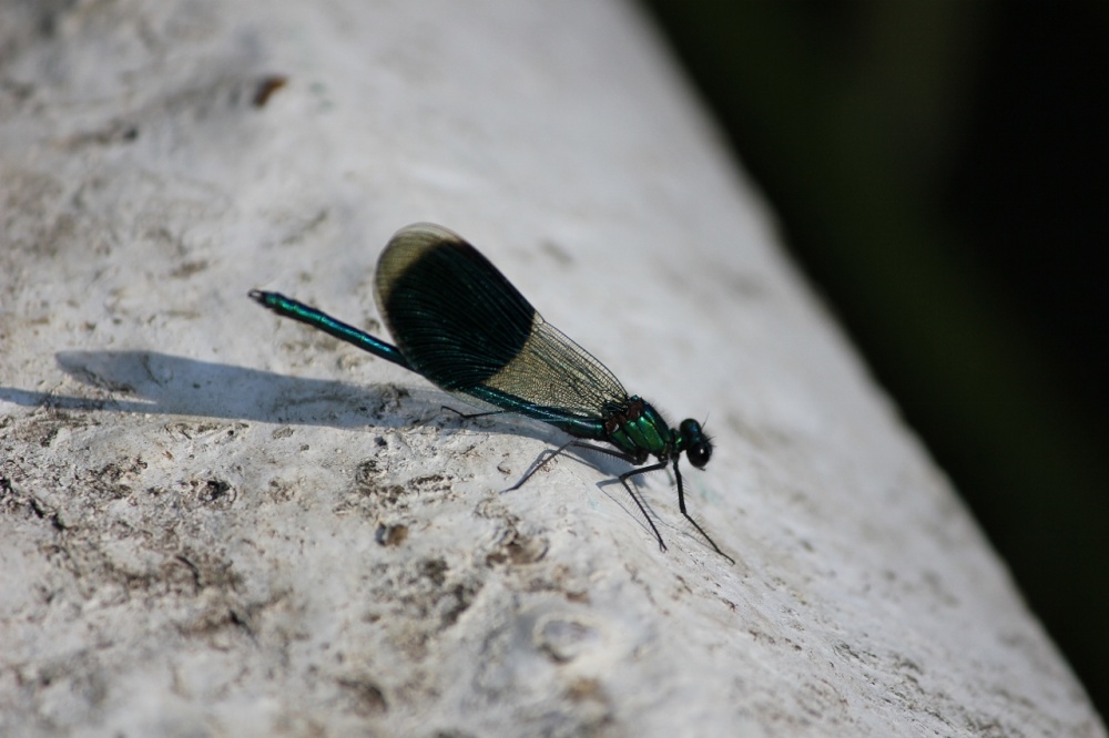 Preparing for take off