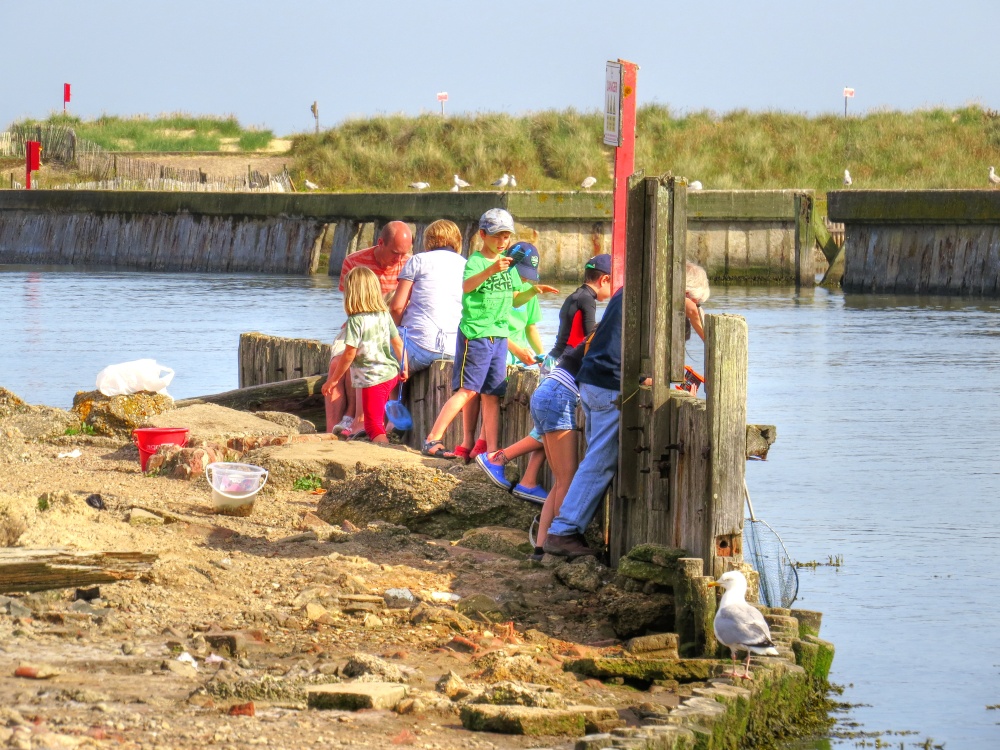 Crabbing at Southwold Harbour