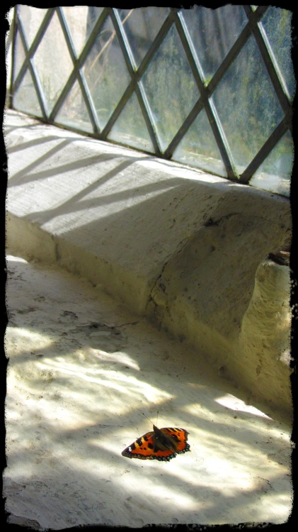 'Trapped' - St Andrews, Covehithe.