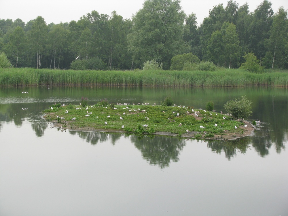 Photograph of Whisby Nature Reserve