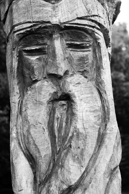 Carving at Sherwood Forest