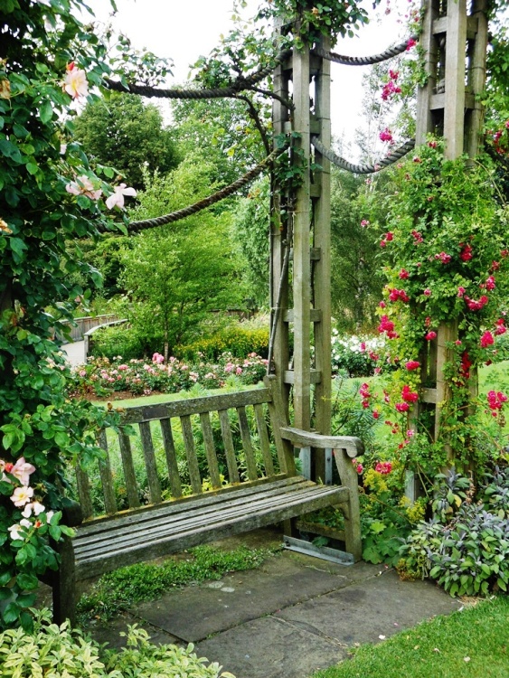 Queen Mary's Gardens, Regent's Park
