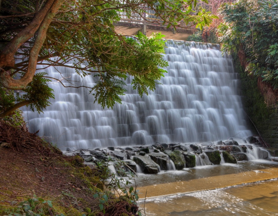 Harewood Park photo by Paul Lakin