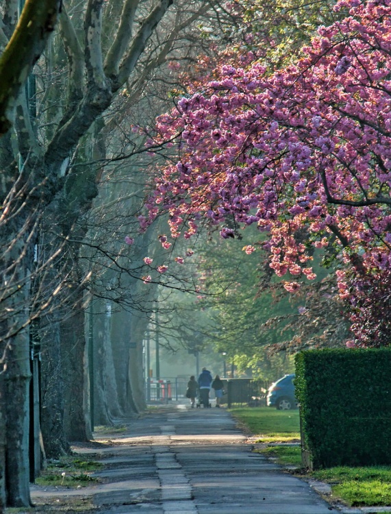 Cottingham Road, Hull