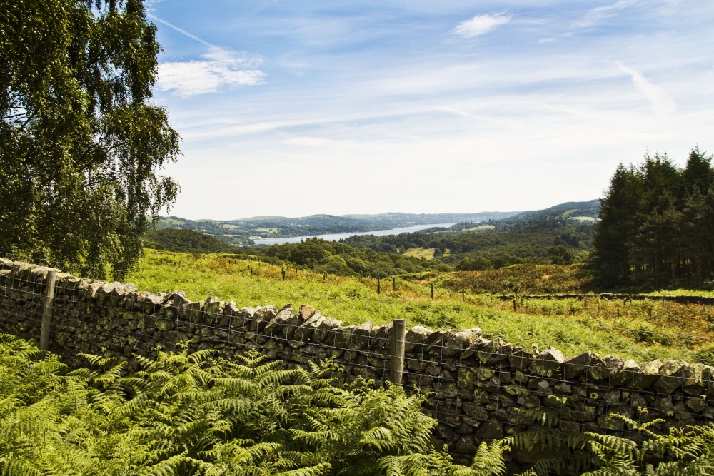 Windernere from Loughrigg Fell
