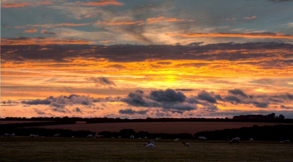 Sunset on Westoby Lane, Rowley