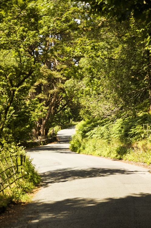 The long and winding road!