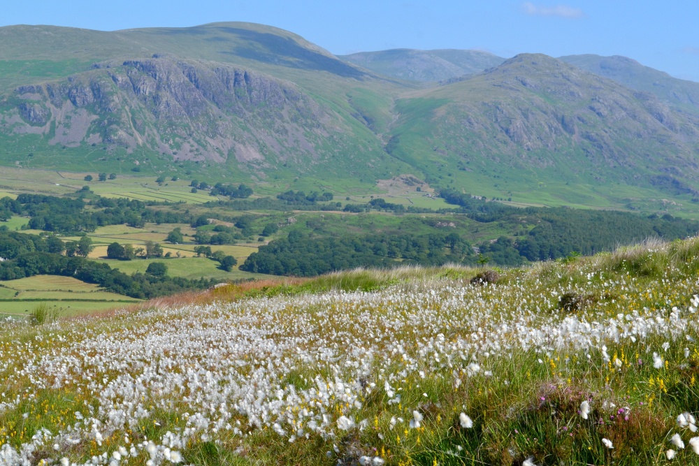 Wasdale view