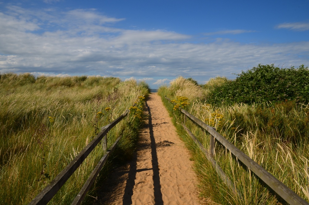 Photograph of To the beach!