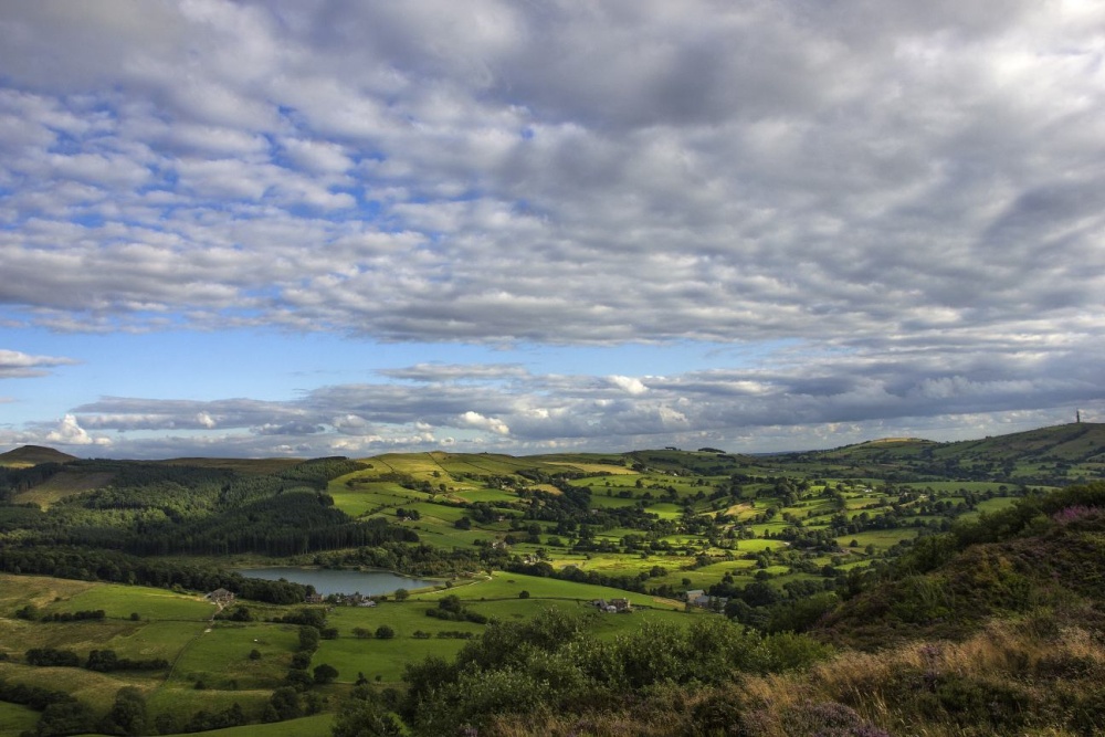 View from Tegg Nose to the Macclesfield Forest photo by John Godley