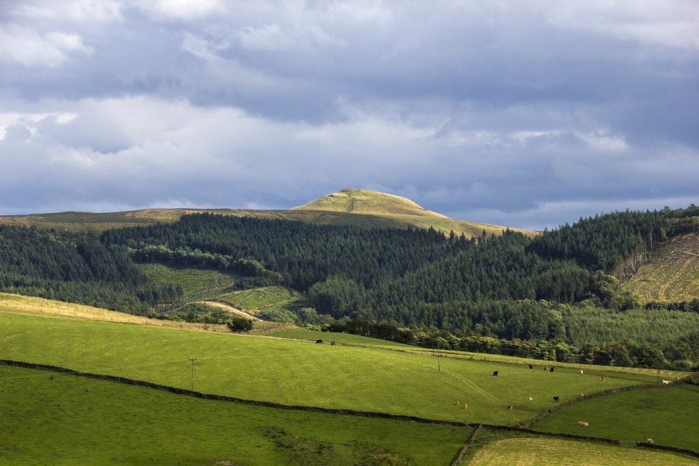 View from Tegg Nose to Shutlingsloe. photo by John Godley