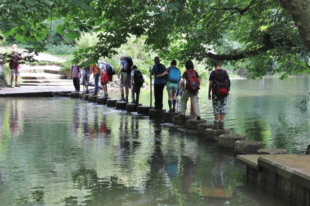 Photograph of The Domino Effect- One in all In